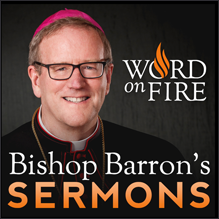 Bishop Barron's SENMONS