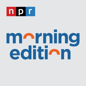 User Podcast Logo