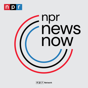 User Podcast Logo