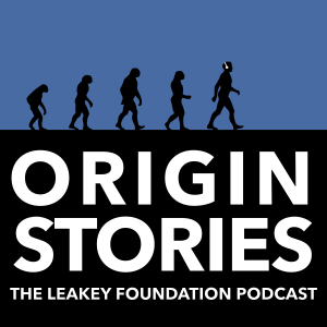 User Podcast Logo