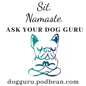 User Podcast Logo