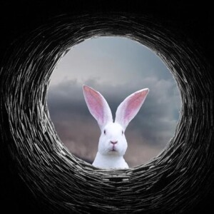 The Rabbit Hole of the Rooters - Watchmen Radio -07/16/23