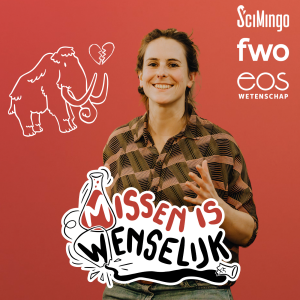 ‘Lonely Boy’ - Missen is wenselijk