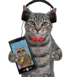 User Podcast Logo