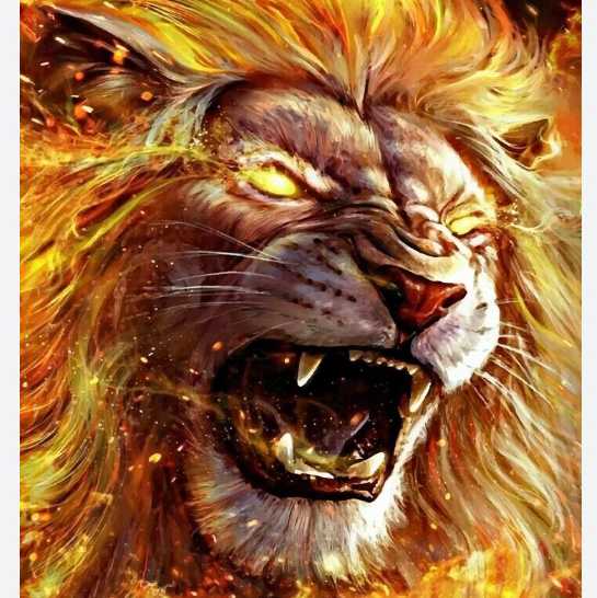 Daniel🔥