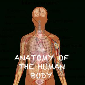 anatomyofthehumanbody