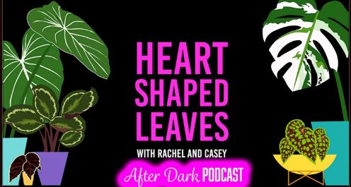 heart shaped leaves after dark
