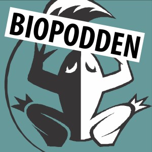 Intervju: Dag Hessen forteller om jervesporet, skrivingen og hvordan han endte opp som biolog